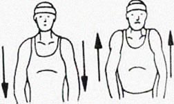 ejercicio de hombros 3 y 4