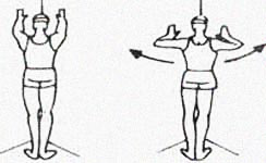 ejercicio de hombros 7 y 8