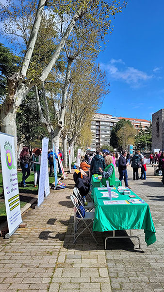 feria de la salud