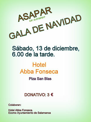 gala de navidad 2014 12